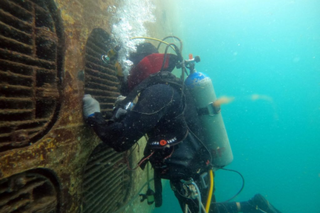 Mergulho em Ilha Grande: Explorando as Profundezas Marinhas